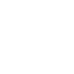 Space Micro Partner Logo