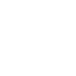 Astra Partner Logo