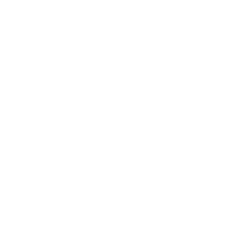 Maverick Space Partner Logo