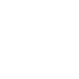 Maxar Partner Logo