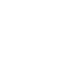 NGD Systems Partner Logo