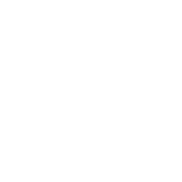 SRI Partner Logo
