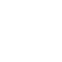 Tommorow.io Partner Logo